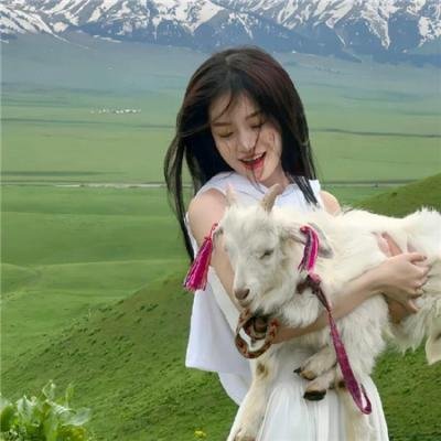 重生之我在2005年种树